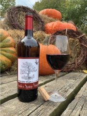Award-winning-arkansas-wines